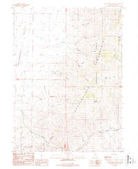 Water Pipe Canyon Nevada Historical topographic map, 1:24000 scale, 7.5 X 7.5 Minute, Year 1987