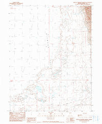 West of Diamond Springs Nevada Historical topographic map, 1:24000 scale, 7.5 X 7.5 Minute, Year 1990