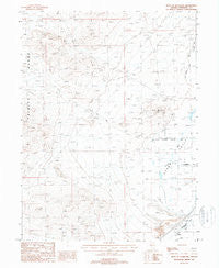 West of Lovelock Nevada Historical topographic map, 1:24000 scale, 7.5 X 7.5 Minute, Year 1987