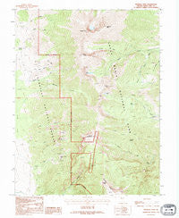 Wheeler Peak Nevada Historical topographic map, 1:24000 scale, 7.5 X 7.5 Minute, Year 1990