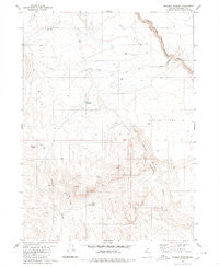 Whiskey Springs Nevada Historical topographic map, 1:24000 scale, 7.5 X 7.5 Minute, Year 1980