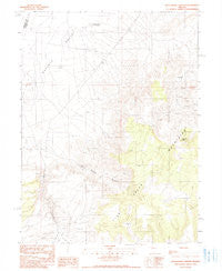 Wild Range Canyon Nevada Historical topographic map, 1:24000 scale, 7.5 X 7.5 Minute, Year 1990