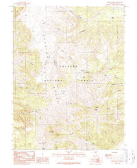 Wildcat Peak Nevada Historical topographic map, 1:24000 scale, 7.5 X 7.5 Minute, Year 1989