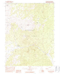 Willow Grove Nevada Historical topographic map, 1:24000 scale, 7.5 X 7.5 Minute, Year 1990
