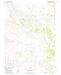Win Wan Flat Nevada Historical topographic map, 1:24000 scale, 7.5 X 7.5 Minute, Year 1979