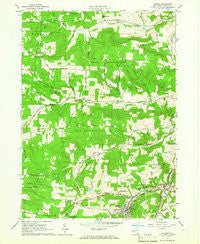 Alfred New York Historical topographic map, 1:24000 scale, 7.5 X 7.5 Minute, Year 1964