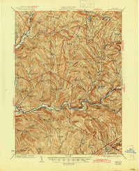 Andes New York Historical topographic map, 1:62500 scale, 15 X 15 Minute, Year 1924