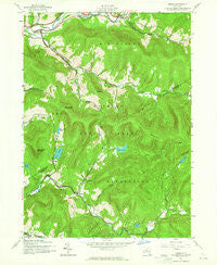 Arena New York Historical topographic map, 1:24000 scale, 7.5 X 7.5 Minute, Year 1945