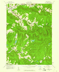 Arena New York Historical topographic map, 1:24000 scale, 7.5 X 7.5 Minute, Year 1945