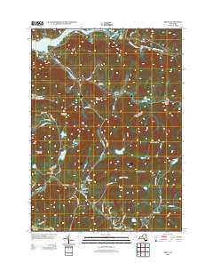 Arena New York Historical topographic map, 1:24000 scale, 7.5 X 7.5 Minute, Year 2013