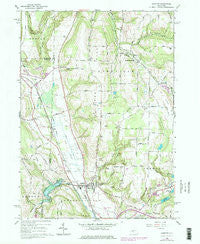Arkport New York Historical topographic map, 1:24000 scale, 7.5 X 7.5 Minute, Year 1965