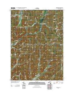 Ashford New York Historical topographic map, 1:24000 scale, 7.5 X 7.5 Minute, Year 2013