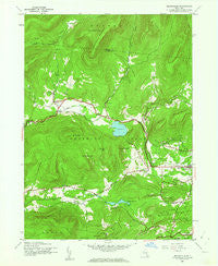 Bearsville New York Historical topographic map, 1:24000 scale, 7.5 X 7.5 Minute, Year 1945
