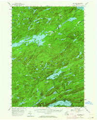 Big Moose New York Historical topographic map, 1:62500 scale, 15 X 15 Minute, Year 1954