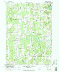 Birdsall New York Historical topographic map, 1:24000 scale, 7.5 X 7.5 Minute, Year 1964