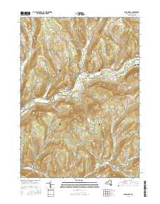 Bloomville New York Current topographic map, 1:24000 scale, 7.5 X 7.5 Minute, Year 2016