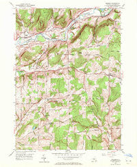 Brisben New York Historical topographic map, 1:24000 scale, 7.5 X 7.5 Minute, Year 1949