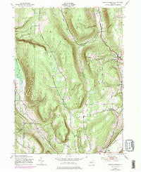 Bristol Springs New York Historical topographic map, 1:24000 scale, 7.5 X 7.5 Minute, Year 1943