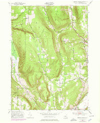 Bristol Springs New York Historical topographic map, 1:24000 scale, 7.5 X 7.5 Minute, Year 1943