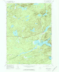 Canada Lake New York Historical topographic map, 1:24000 scale, 7.5 X 7.5 Minute, Year 1945