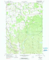 Chasm Falls New York Historical topographic map, 1:24000 scale, 7.5 X 7.5 Minute, Year 1964