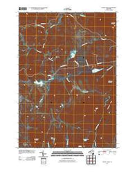 Cheney Pond New York Historical topographic map, 1:24000 scale, 7.5 X 7.5 Minute, Year 2010