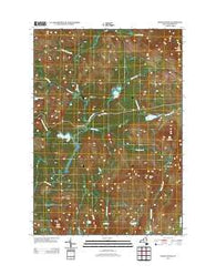 Cheney Pond New York Historical topographic map, 1:24000 scale, 7.5 X 7.5 Minute, Year 2013