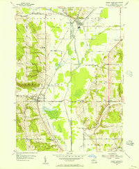 Cherry Creek New York Historical topographic map, 1:24000 scale, 7.5 X 7.5 Minute, Year 1954