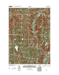 Dale New York Historical topographic map, 1:24000 scale, 7.5 X 7.5 Minute, Year 2013