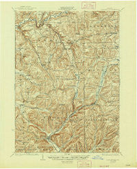 Ellicottville New York Historical topographic map, 1:62500 scale, 15 X 15 Minute, Year 1924
