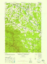 Freehold New York Historical topographic map, 1:24000 scale, 7.5 X 7.5 Minute, Year 1945