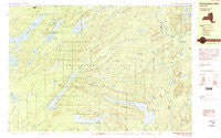 Honnedaga Lake New York Historical topographic map, 1:25000 scale, 7.5 X 15 Minute, Year 1989