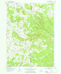 Ivory New York Historical topographic map, 1:24000 scale, 7.5 X 7.5 Minute, Year 1954