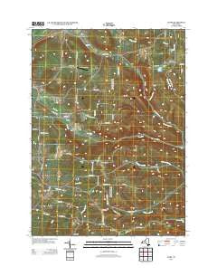 Ivory New York Historical topographic map, 1:24000 scale, 7.5 X 7.5 Minute, Year 2013