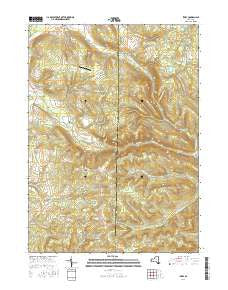 Ivory New York Current topographic map, 1:24000 scale, 7.5 X 7.5 Minute, Year 2016