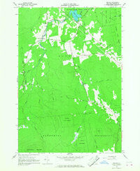 Jericho New York Historical topographic map, 1:24000 scale, 7.5 X 7.5 Minute, Year 1966