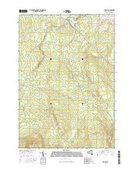 Jericho New York Current topographic map, 1:24000 scale, 7.5 X 7.5 Minute, Year 2016