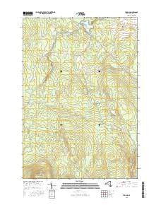 Jericho New York Current topographic map, 1:24000 scale, 7.5 X 7.5 Minute, Year 2016