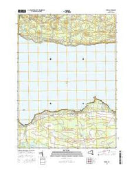 Jewell New York Current topographic map, 1:24000 scale, 7.5 X 7.5 Minute, Year 2016