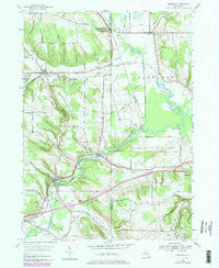 Kennedy New York Historical topographic map, 1:24000 scale, 7.5 X 7.5 Minute, Year 1954