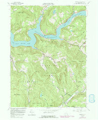 Lewbeach New York Historical topographic map, 1:24000 scale, 7.5 X 7.5 Minute, Year 1965