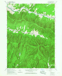 Lexington New York Historical topographic map, 1:24000 scale, 7.5 X 7.5 Minute, Year 1960