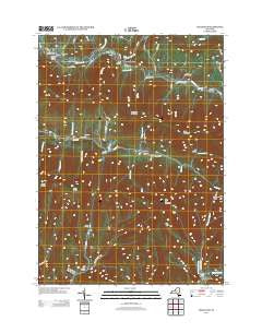 Lexington New York Historical topographic map, 1:24000 scale, 7.5 X 7.5 Minute, Year 2013