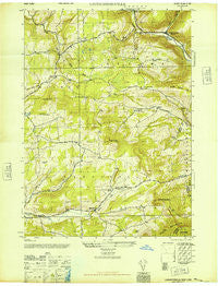 Livingstonville New York Historical topographic map, 1:24000 scale, 7.5 X 7.5 Minute, Year 1946
