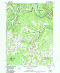 Long Eddy New York Historical topographic map, 1:24000 scale, 7.5 X 7.5 Minute, Year 1965