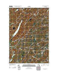 Natural Dam New York Historical topographic map, 1:24000 scale, 7.5 X 7.5 Minute, Year 2013