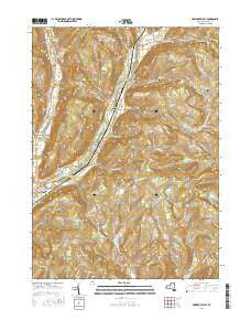 Newark Valley New York Current topographic map, 1:24000 scale, 7.5 X 7.5 Minute, Year 2016