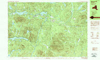 Newcomb New York Historical topographic map, 1:25000 scale, 7.5 X 15 Minute, Year 1989