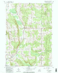 North Clymer New York Historical topographic map, 1:24000 scale, 7.5 X 7.5 Minute, Year 1954