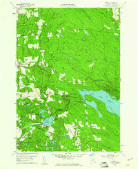 Orwell New York Historical topographic map, 1:24000 scale, 7.5 X 7.5 Minute, Year 1959